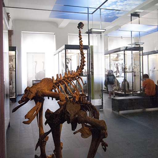 Frankfurt Vogelsaal